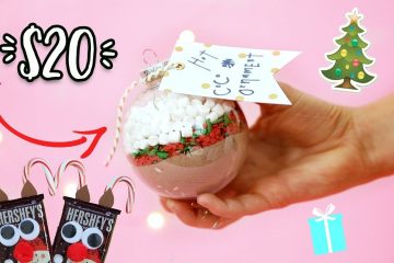 20 DIY Gift Ideas Under !